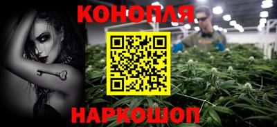 мдпв Камышлов