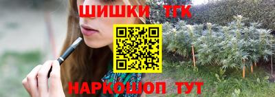 мдпв Камышлов