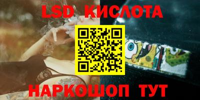 мдпв Камышлов