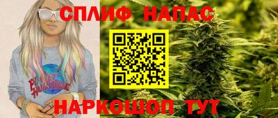 мдпв Камышлов
