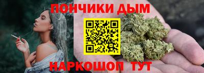 мдпв Камышлов